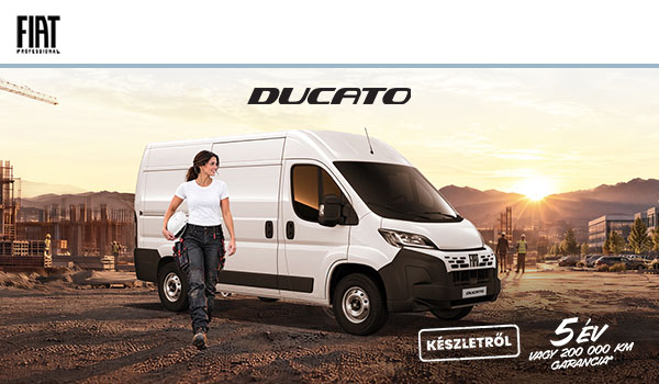 FIAT professional