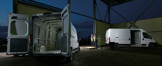 FIAT professional