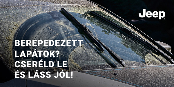 ablaktörlőlapát akció