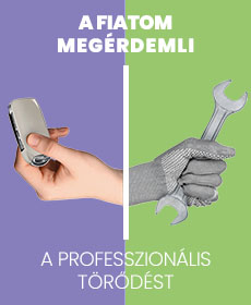 Műszaki Ellenőrzés Alkatrész Akcióval